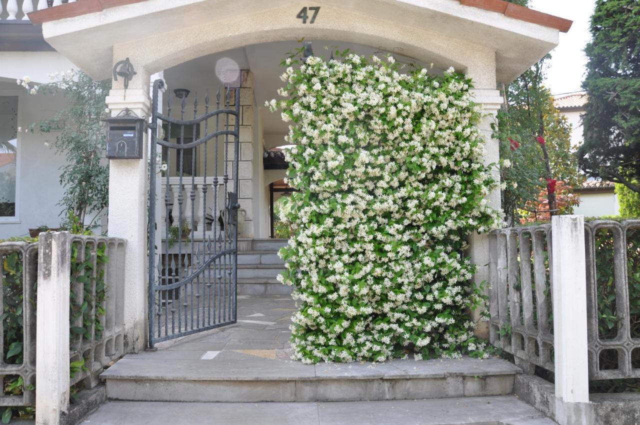 Apartmaji Stamcar Izola Exterior photo
